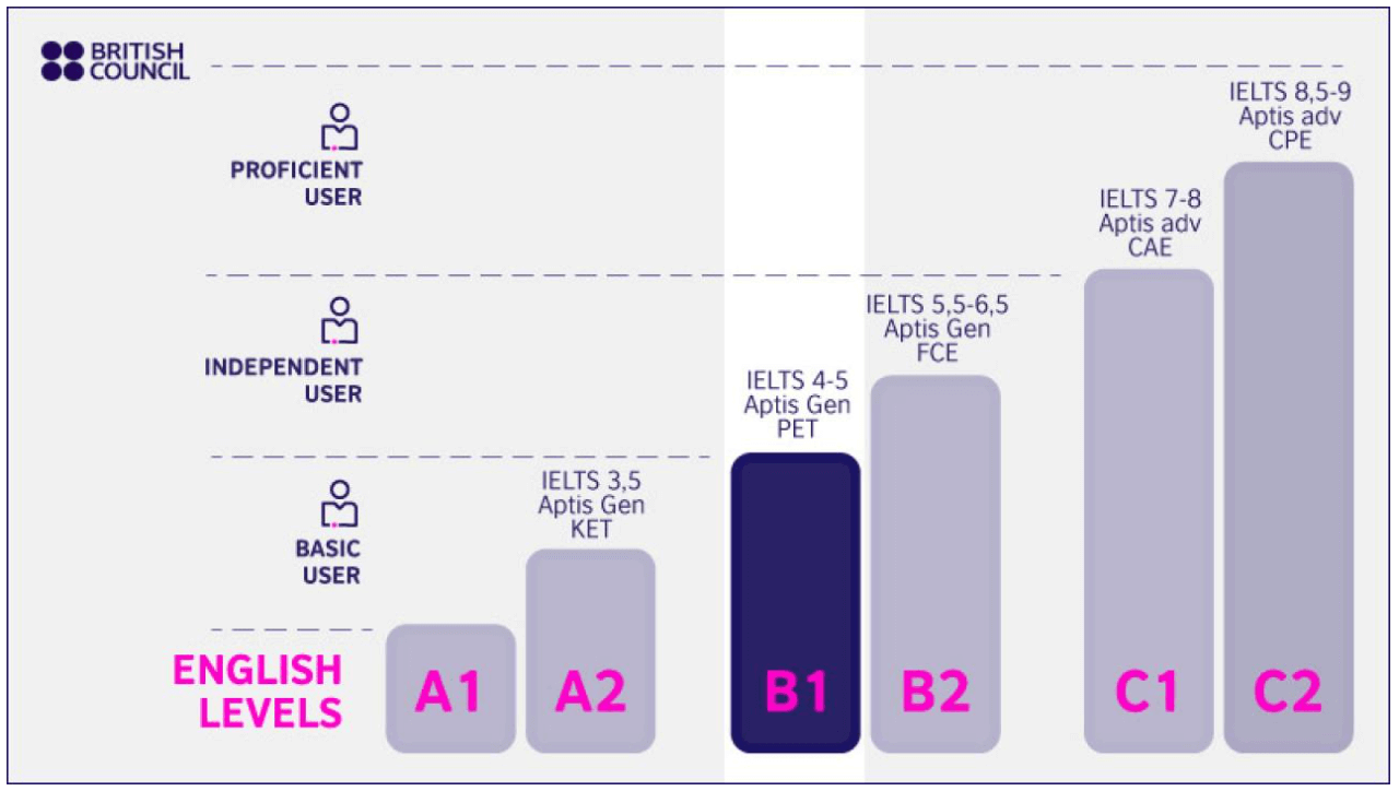 Gráfico de niveles que muestra que el nivel de inglés B1 es intermedio