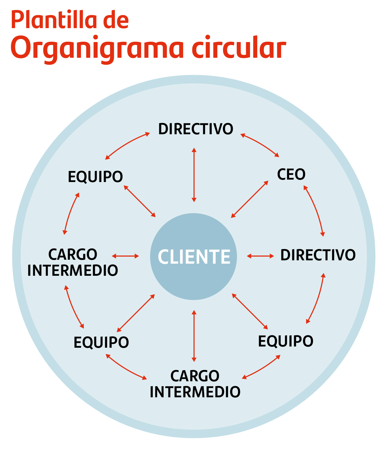 organigrama-circular
