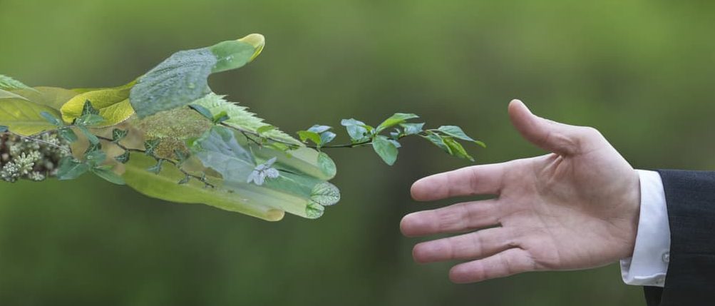 sostenibilidad-ambiental