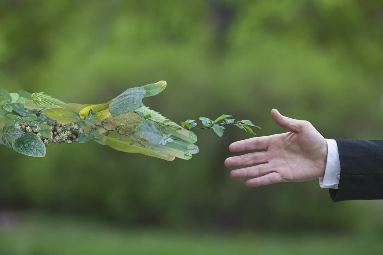 sostenibilidad-ambiental