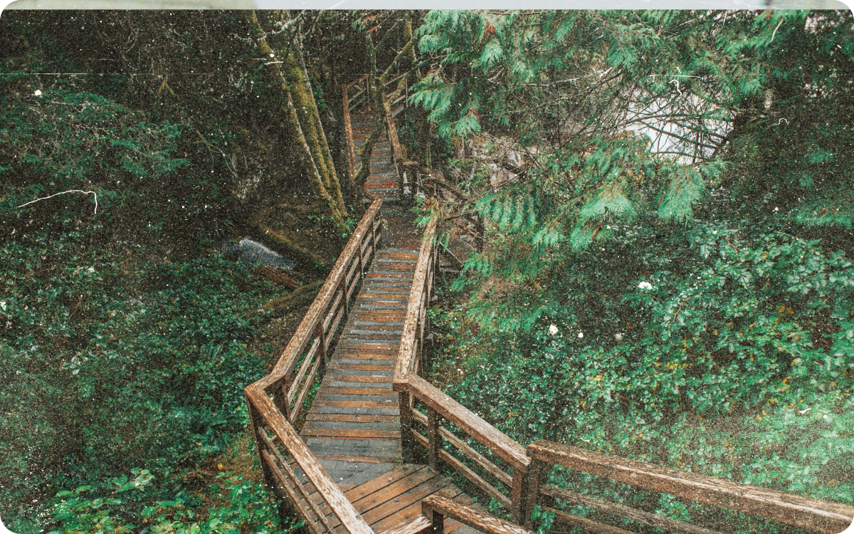 Navegando na Selva do Net Zero