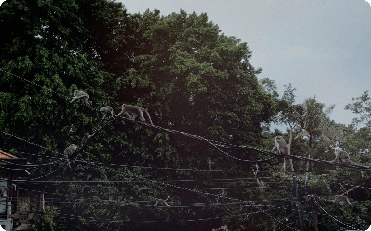 Envolvimento das Partes Interessadas no Net Zero