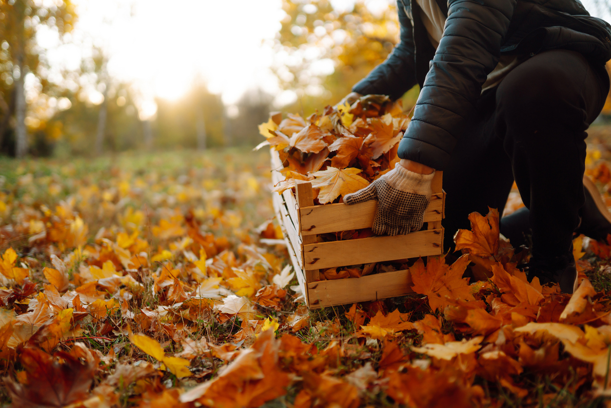 Existen técnicas que ayudan a poder desconectar del trabajo tanto en el día a día como en vacaciones.
