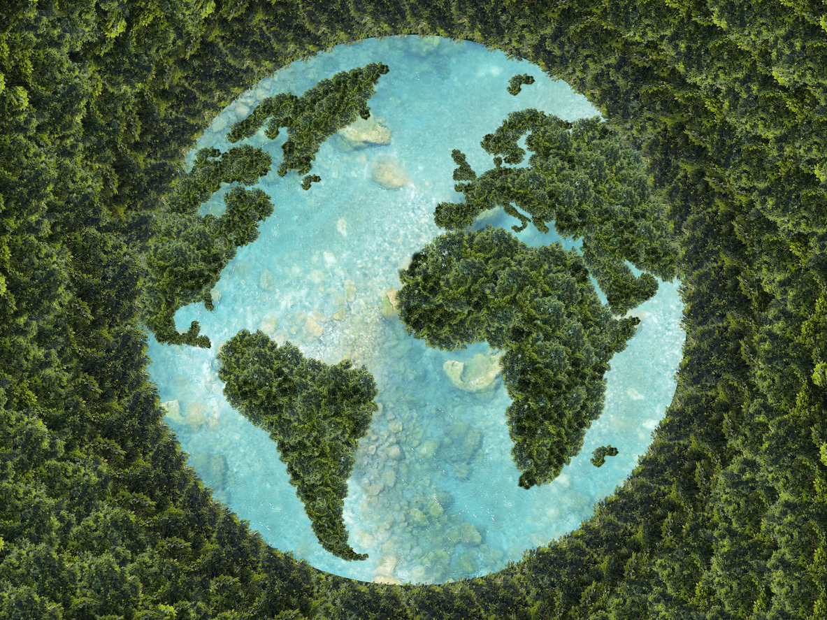 sostenibilidad-ambiental