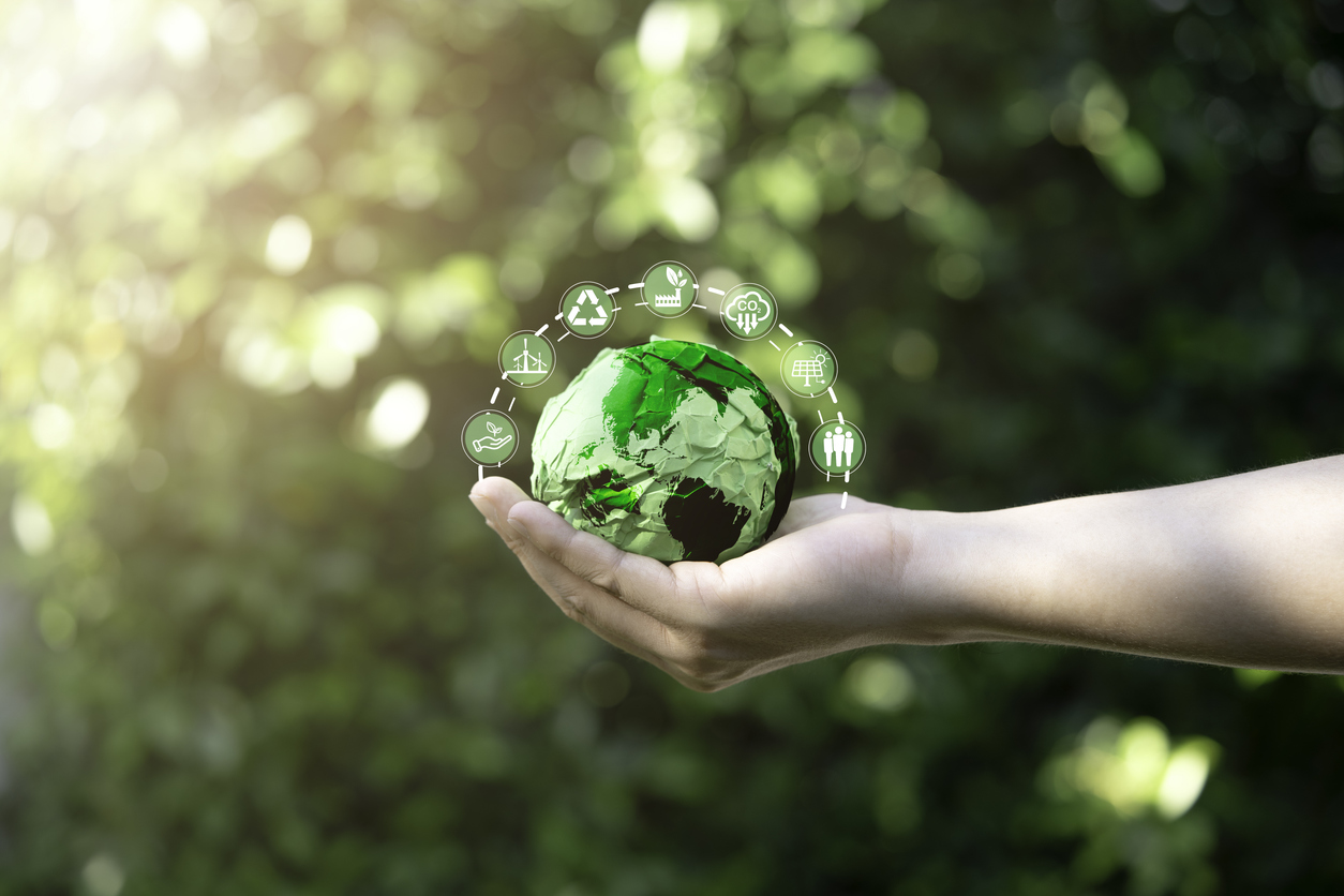 sostenibilidad-ambiental